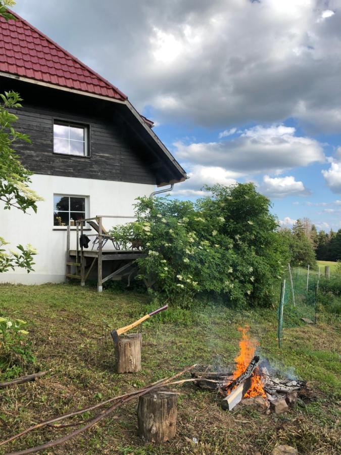 Pfaffensteghof Apartamento Rickenbach  Exterior foto