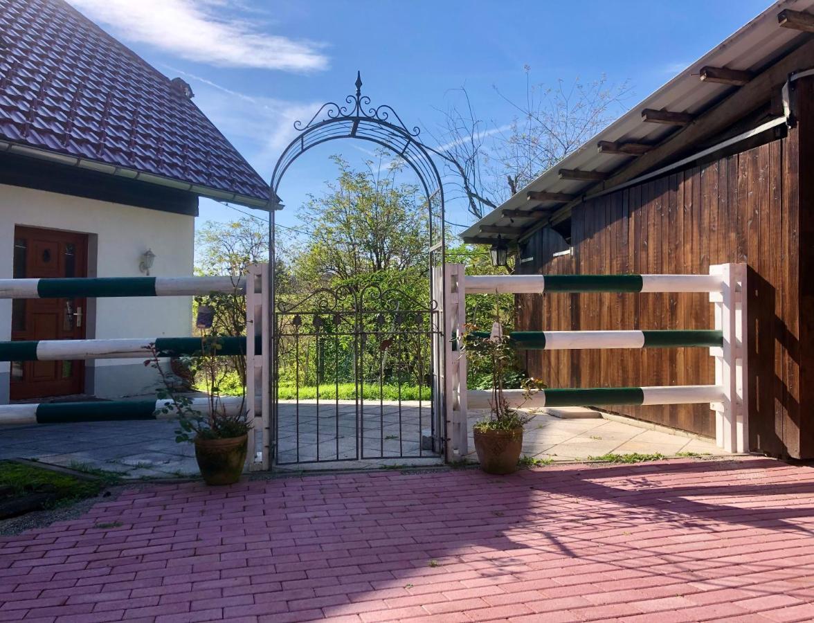 Pfaffensteghof Apartamento Rickenbach  Exterior foto